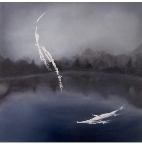 411233356_900116851687969_7435029509007444198_n